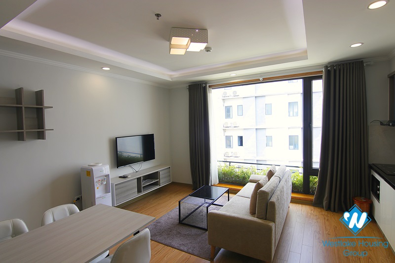 Bright 1-bedroom apartment on Kim Ma Str.